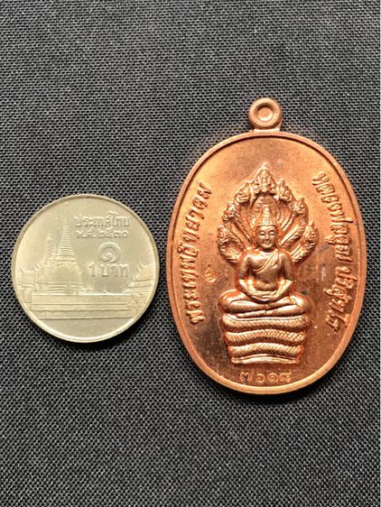 เหรียญ พระนาคปรก หลวงพ่อคูณ วัดบ้านไร่ รุ่น สร้างกุฏิวัดปรก นครราชสีมา พ.ศ.๒๕๕๓ เนื้อทองแดงผิวไฟ สวยครับ รูปที่ 3
