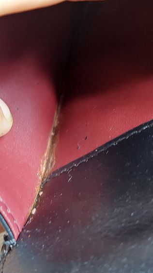 กระเป๋าถือ bvlgari รุ่นลิมิเดต รูปที่ 14