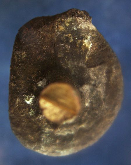 แท้ๆ จากวัด รูปหล่อหลวงพ่อเงิน รุ่นปืนแตก วัดคงคาราม (บางคลานใต้) ตัดจากช่อกรรมการ รูปที่ 45