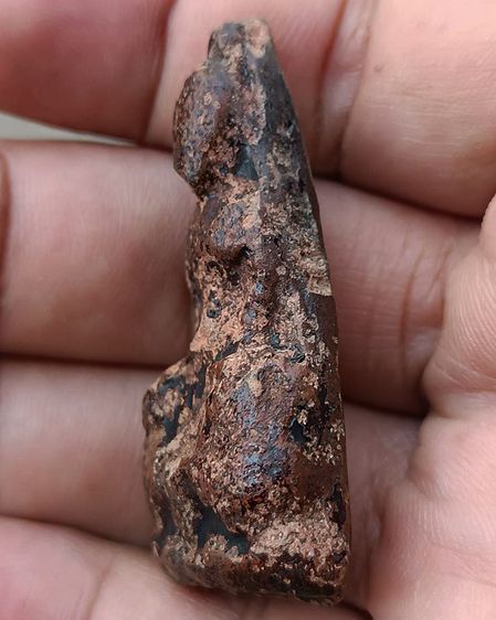 พระเชตุพนพิมพ์ใหญ่เนื้อดิน จ.สุโขทัย ลงรักเก่าๆ สูงประมาณ 2 นิ้ว รูปที่ 3