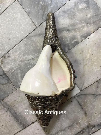 หอยสังข์  เวียนขวาหุ้มกะไหล่เงิน A1 รูปที่ 2