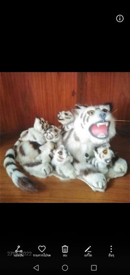 น้ำเต้า​ดูด​ทรัพย์​วิ​นเท​จ​พร้อ​มรูป​พระ​ส​ั​ง​กัจจายฯ รูปที่ 13