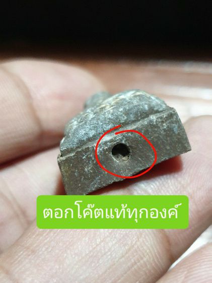 หลวงปู่ทวดเนื้อว่าน ตอกโค๊ตใต้ฐาน ไม่ทราบวัดและปีที่ออก เนื้อจัดจ้านได้อายุ ขายเหมา 6 องค์ สภาพสวยทุกองค์ รูปที่ 3