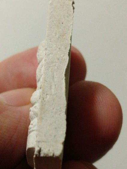 พระชุดพระผงหลวงปู่โต๊ะธรรมญาณนางพญาปี๒๕๓๖ รูปที่ 6