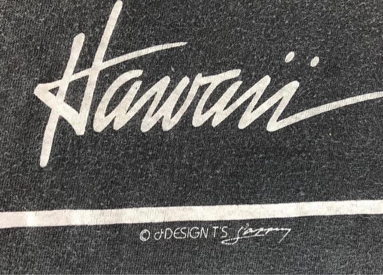 เสื้อยืดผ้าบางแขนยาวสีดำ ลายเรือใบ Catamaran Hawaii รูปที่ 7