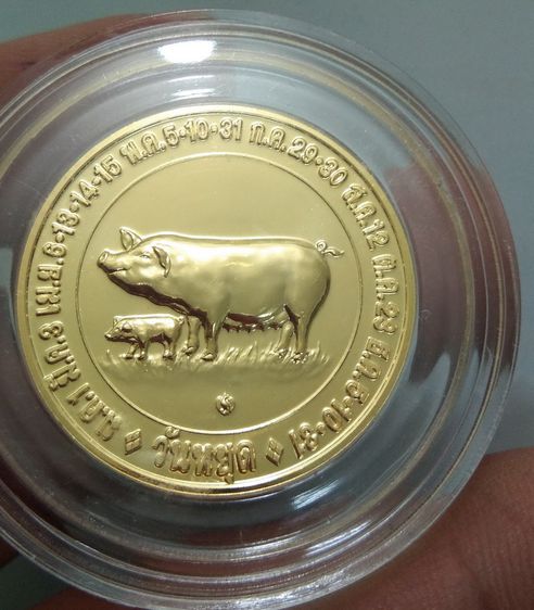 4072-เหรียญปีนักษัตรปีกุน  หลังปฎิทินประจำปี 2551 กะไหล่ทอง สวยมาก พร้อมตลับอะคริลิคอย่างดี ไม่ผ่านการใช้ รูปที่ 9