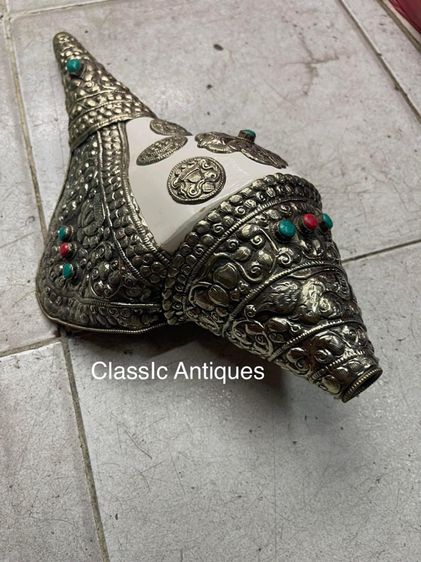 หอยสังข์  เวียนขวาหุ้มกะไหล่เงินA3 รูปที่ 4