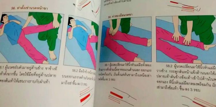 คู่มืออบรมการนวดไทยแบบเชลยศักดิ์​-สรุป​หัถเวชกรรมไทย(นวดราชสำนักแก้อาการ) -​กายวิภาคศาสตร์​ANATOMY  รูปที่ 10
