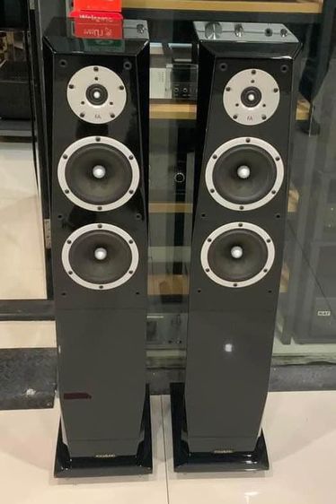 ขายลำโพงตั้งพื้นไฮเอนด์เสียงดี สภาพเยี่ยม ของครบ  Focus Audio Signature Series FS8 Floorstanding Loudspeakers  รูปที่ 2