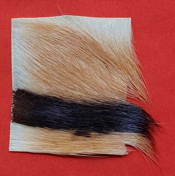 เครื่องราง รูปที่ 2