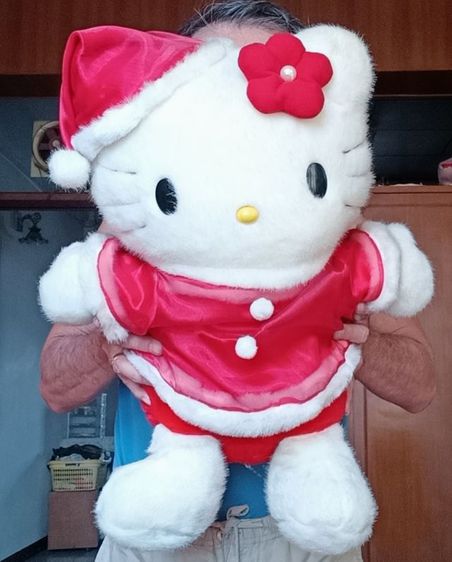 ตุ๊กตาผ้ามือสอง รูปที่ 12