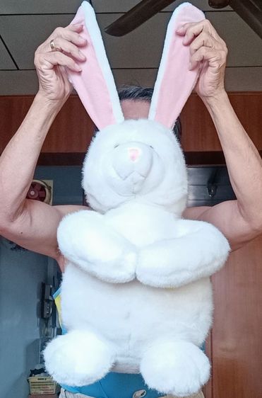 ตุ๊กตาผ้ามือสอง รูปที่ 10