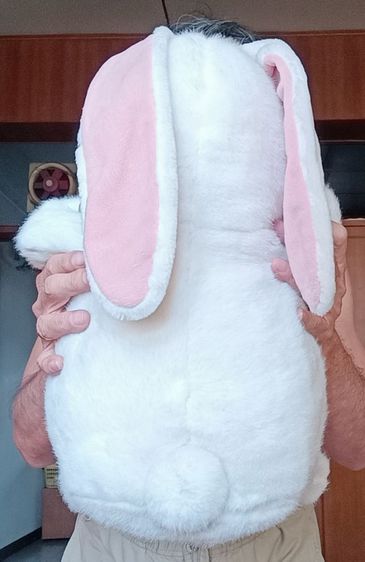 ตุ๊กตาผ้ามือสอง รูปที่ 11