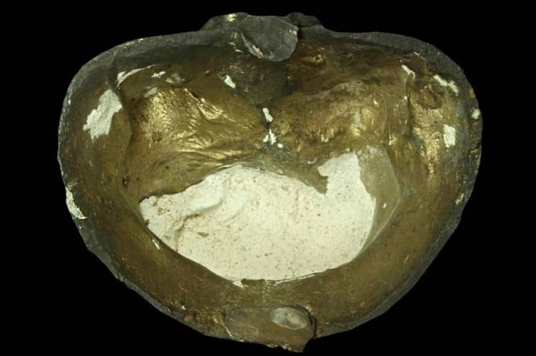 พระไต่ฮงกง รุ่นเก่า เดิมๆ หายาก องค์เล็ก รุ่นแรก สร้างน้อย สวย เก่าเก็บ รูปที่ 2