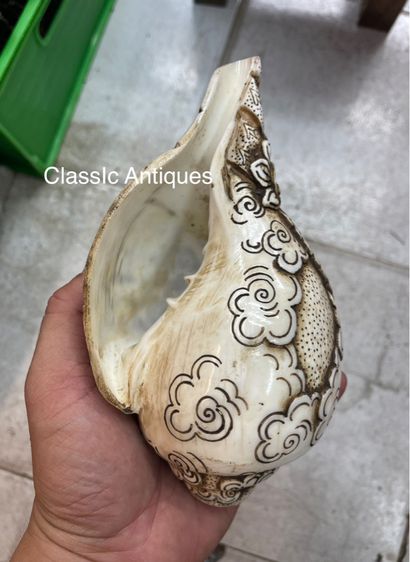 หอยสังข์  แกะสลักA11 รูปที่ 5