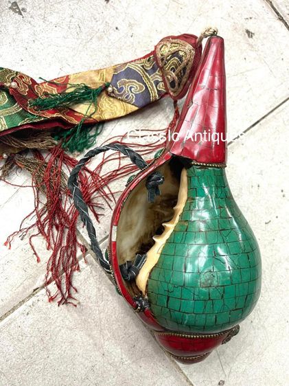 หอยสังข์ ประดับหินสะสมA10 รูปที่ 4