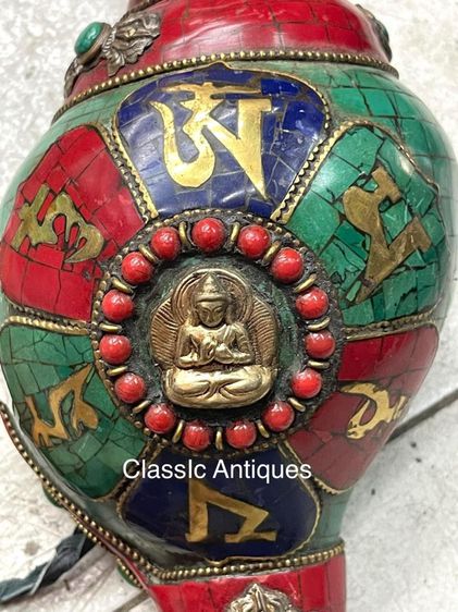 หอยสังข์ ประดับหินสะสมA10 รูปที่ 3