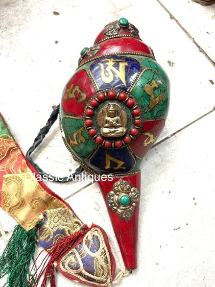 หอยสังข์ ประดับหินสะสมA10 รูปที่ 2