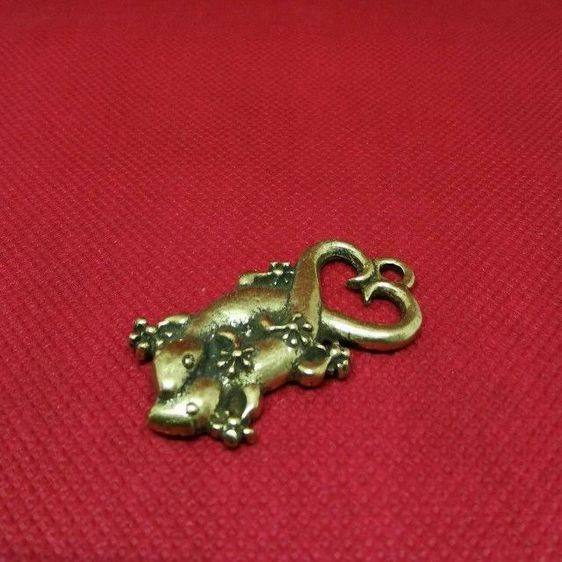 จิ้งจกเรียกทรัพย์ รูปที่ 5