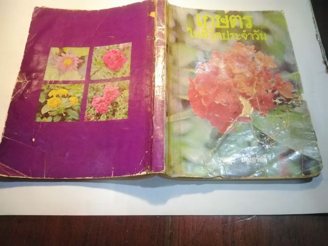 เกษตร​ในชีวิต​ประจำวัน​ รูปที่ 13