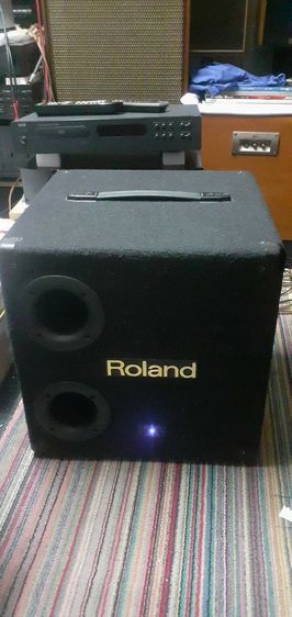 ขับ Roland KCW-1 ดอกเบส 12 นิ้ว มีเพาเวอร์ในตัว เสียงดีหนักแน่น  