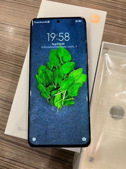 Xiaomi 12 Blue 5G 🇹🇭