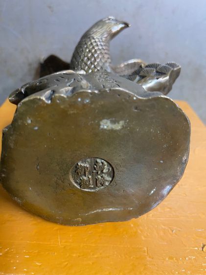 นกอินทรีย์ ทองเหลือง รูปที่ 8