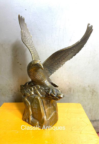 นกอินทรีย์ ทองเหลือง รูปที่ 2