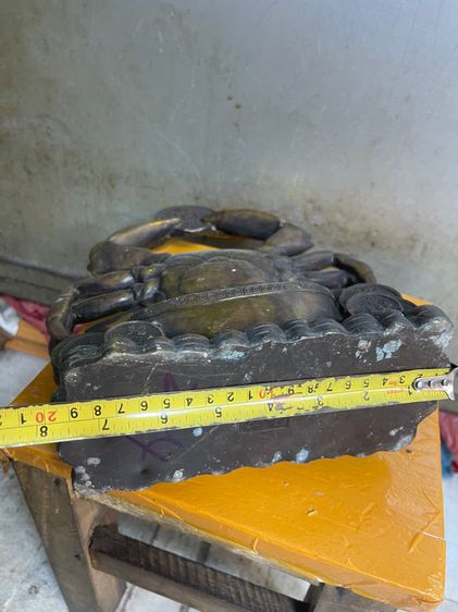 ปูกองเงินกองทอง ทองเหลืองA1 รูปที่ 8