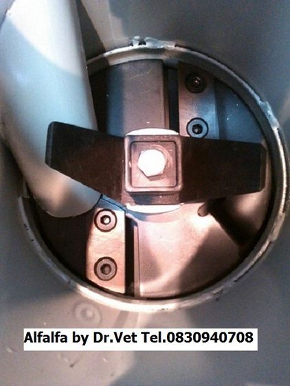 เครื่องย่อยกิ่งไม้ใบไม้ บ้านหมอเล็ก Talon   รูปที่ 5