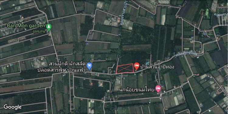 ไม่ใช่ ที่ดิน บ้านแพ้ว สมุทรสาคร มีโฉนด ขายสวนมะพร้าว บ้านแพ้ว จ.สมุทรสาคร 10 ไร่ เจ้าของที่ขายเอง มีโฉนด รูปที่ 2