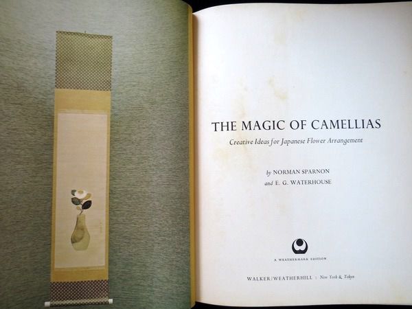 The Magic Of Camellias By Norman Sparnon Waterhouse ศิลปะการจัดดอกไม้ คามีเลีย หนังสือปกแข็งเล่มใหญ่  รูปที่ 3