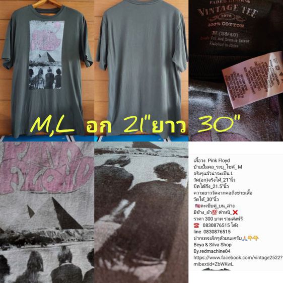 เสื้อ T Shirt รูปที่ 2
