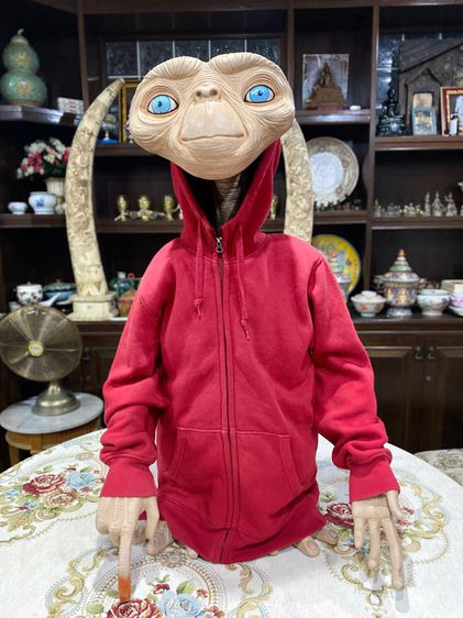 E.T    รูปที่ 6