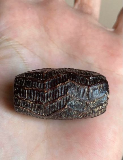 ตะกรุดสาริกาหลวงพ่อคงวัดบางกะพ้อม รูปที่ 3