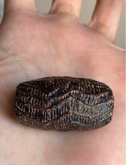 ตะกรุดสาริกาหลวงพ่อคงวัดบางกะพ้อม รูปที่ 7