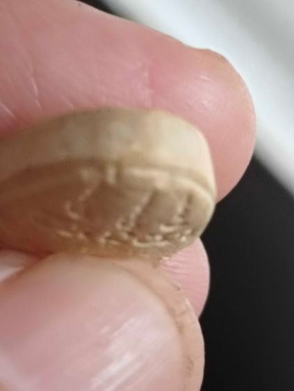 พระผงปิดตาพิมพ์เล็กหลวงพ่อคูณพระภควัมบดีปี๓๒ รูปที่ 14