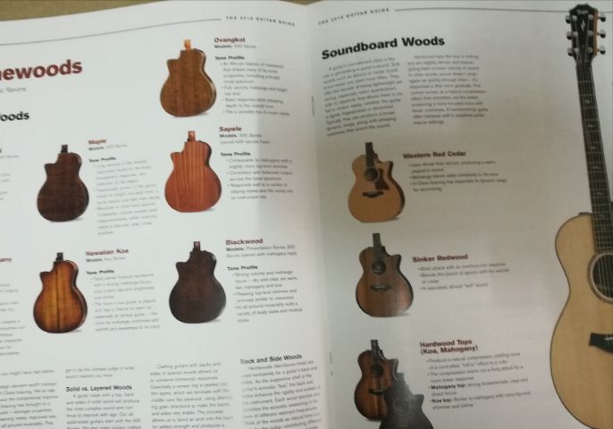 guitarbook Taylor รูปที่ 6