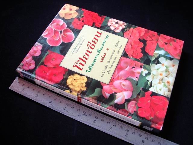 โป๊ยเซียน ไม้ดอกเสี่ยงทาย เล่ม 2 โดย อุไร จิรมงคลการ หนังสือปกแข็ง รูปที่ 2