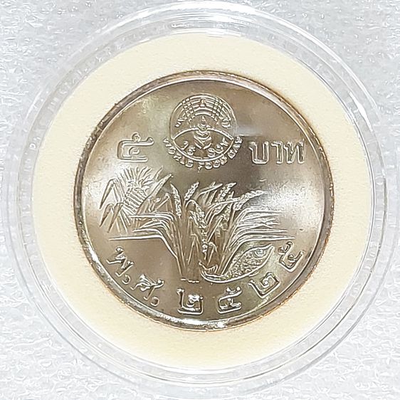 เหรียญ5บาท เหรียญกษาปณ์ที่ระลึกวันอาหารโลก ปี 2525 รัชกาลที่9 พ.ศ.2525 ไม่ผ่านการใช้ UNC เหรียญสวยวิ้งๆครับ พร้อมตลับอะคริลิคอย่างดีจากกรมฯ รูปที่ 2