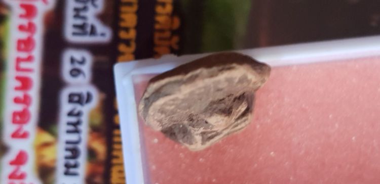 พระคง ลำพูน รูปที่ 6