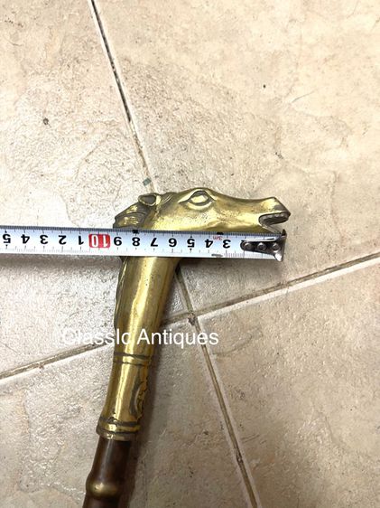 ไม้เท้า หัวม้าทองเหลือง รูปที่ 4