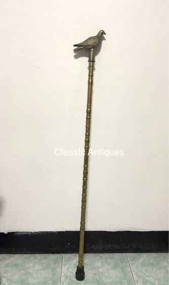 ไม้เท้า หัวนกทองเหลือง รูปที่ 2
