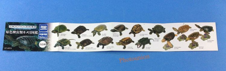 Takara Kaiyodo Tomy Yujin Turtle กาชาปองเต่า 15 ตัว รูปที่ 3