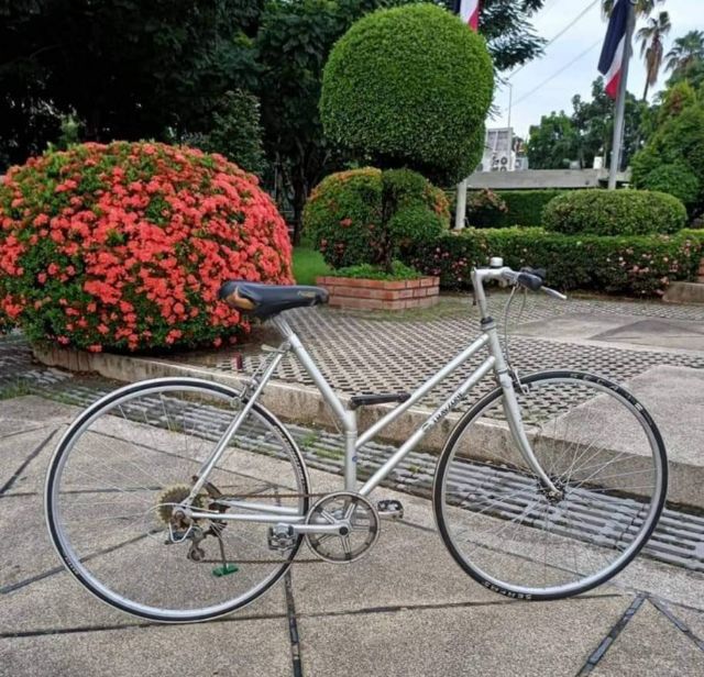 จักรยาน BRIDGESTONE

พับได้ รุ่น TRANZONE  จากญี่ปุ่น รูปที่ 11