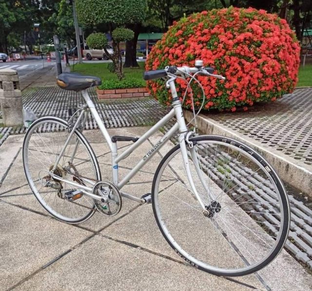 จักรยาน BRIDGESTONE

พับได้ รุ่น TRANZONE  จากญี่ปุ่น รูปที่ 10