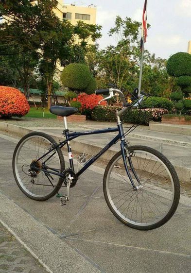 จักรยาน PANASONIC

รุ่น SPRINGBOX NF  เฟรม CROMOLY
ล้ออลูมิเนียม 26 นิ้ว รูปที่ 5