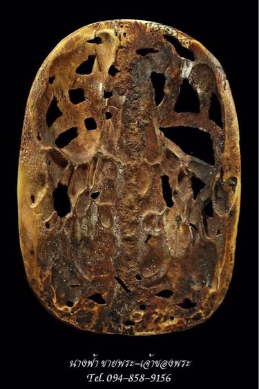 พ่อแก่ รูปที่ 2