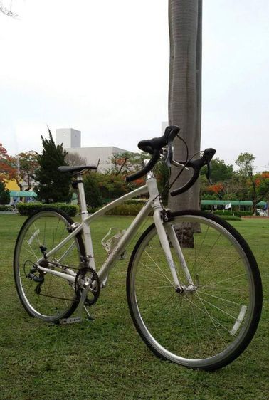 จักรยาน ROAD BIKE เสือหมอบ
MOMENTUM, ผลิตโดย GIANT GROUP
รุ่น IWANT 2.1F. รูปที่ 13