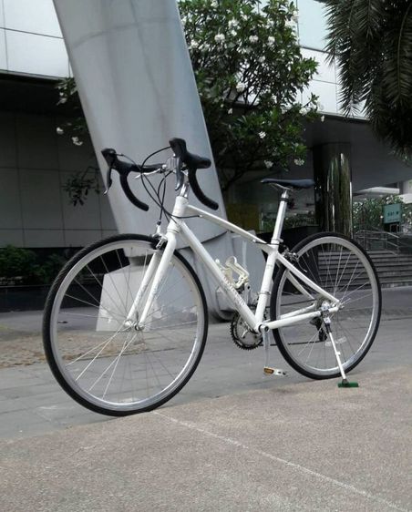 จักรยาน ROAD BIKE เสือหมอบ
MOMENTUM, ผลิตโดย GIANT GROUP
รุ่น IWANT 2.1F. รูปที่ 11